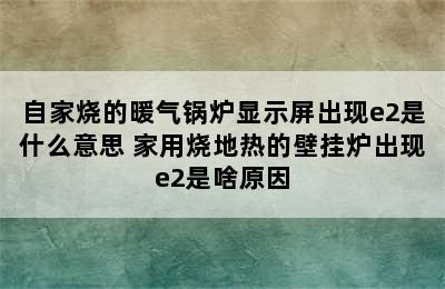 自家烧的暖气锅炉显示屏出现e2是什么意思 家用烧地热的壁挂炉出现e2是啥原因